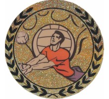 Наклейка на медаль волейбол